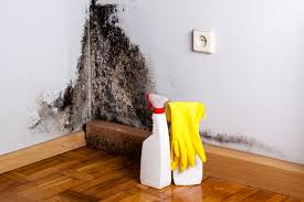 Best Mold Damage Restoration  in Delta Junction, AK